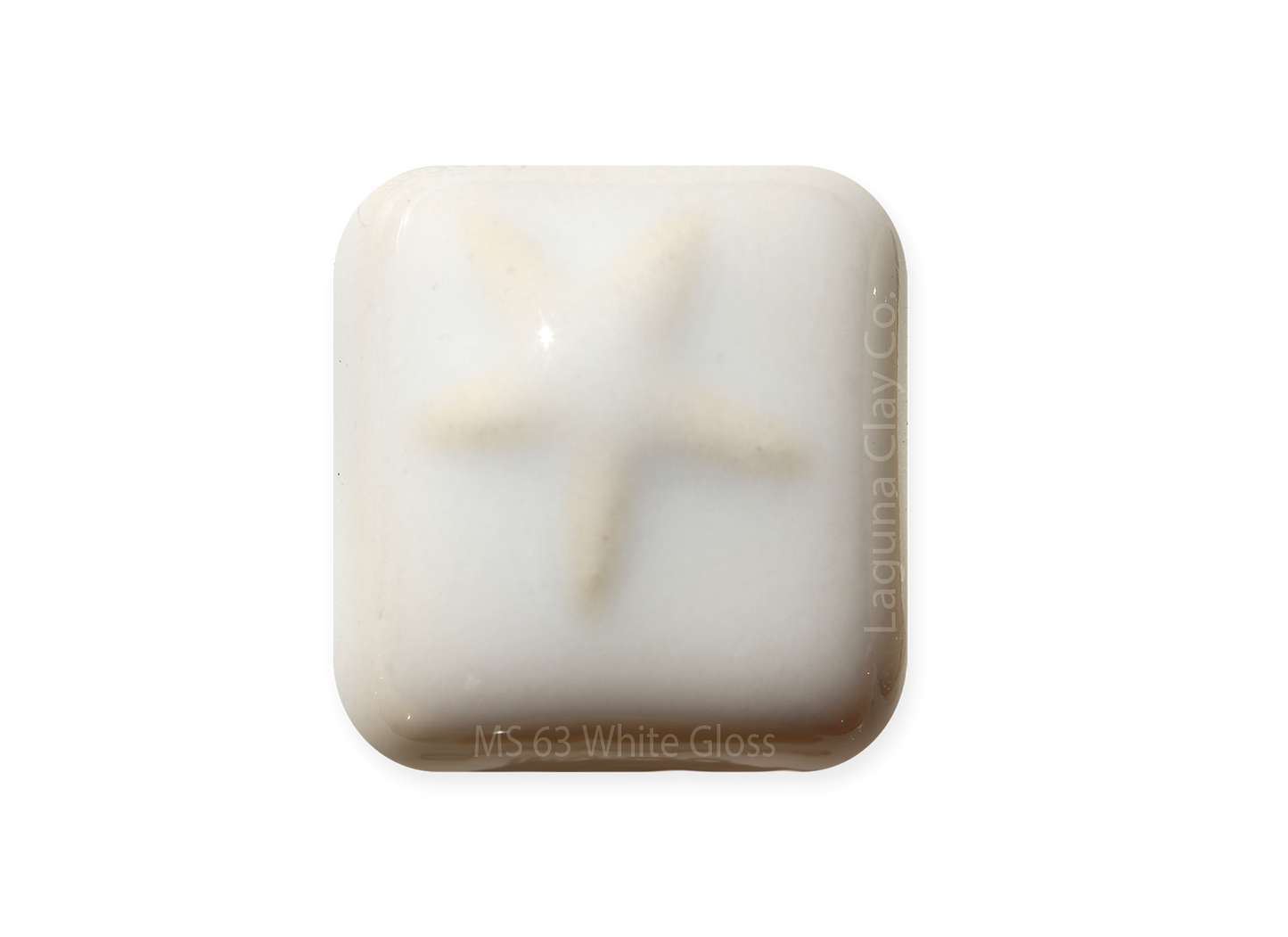 MS-64: Colonial White Gloss (DRY POWDER)